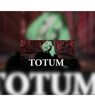 Totum Steam Key GLOBAL
